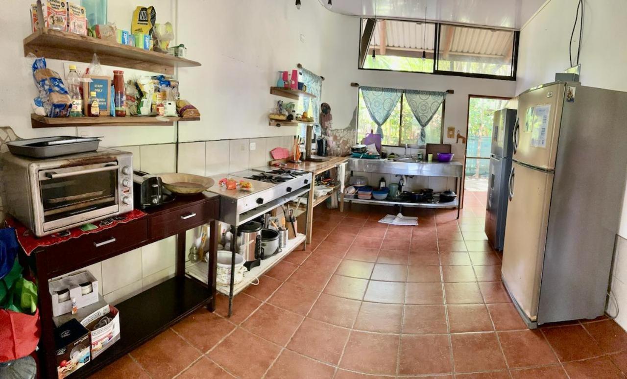 Luminosa * Uvita
